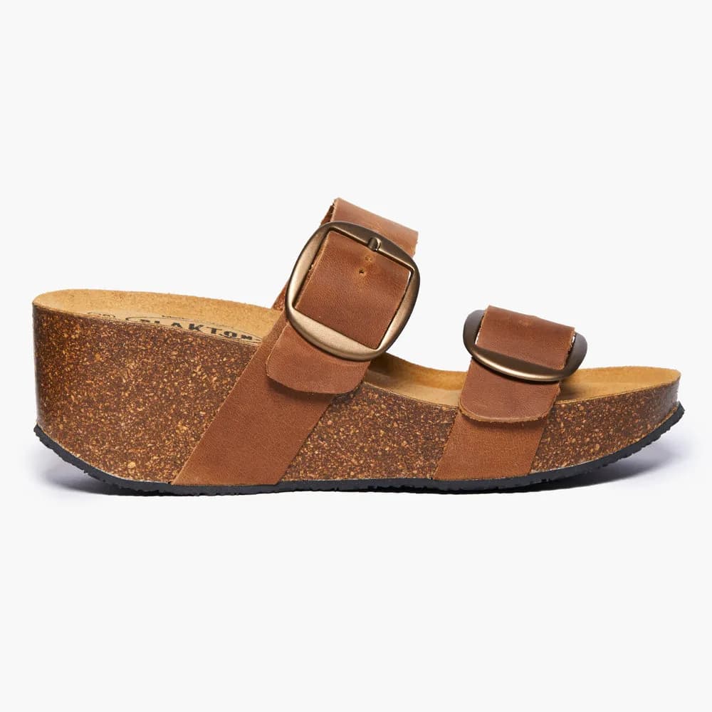 Plakton, from the current collection