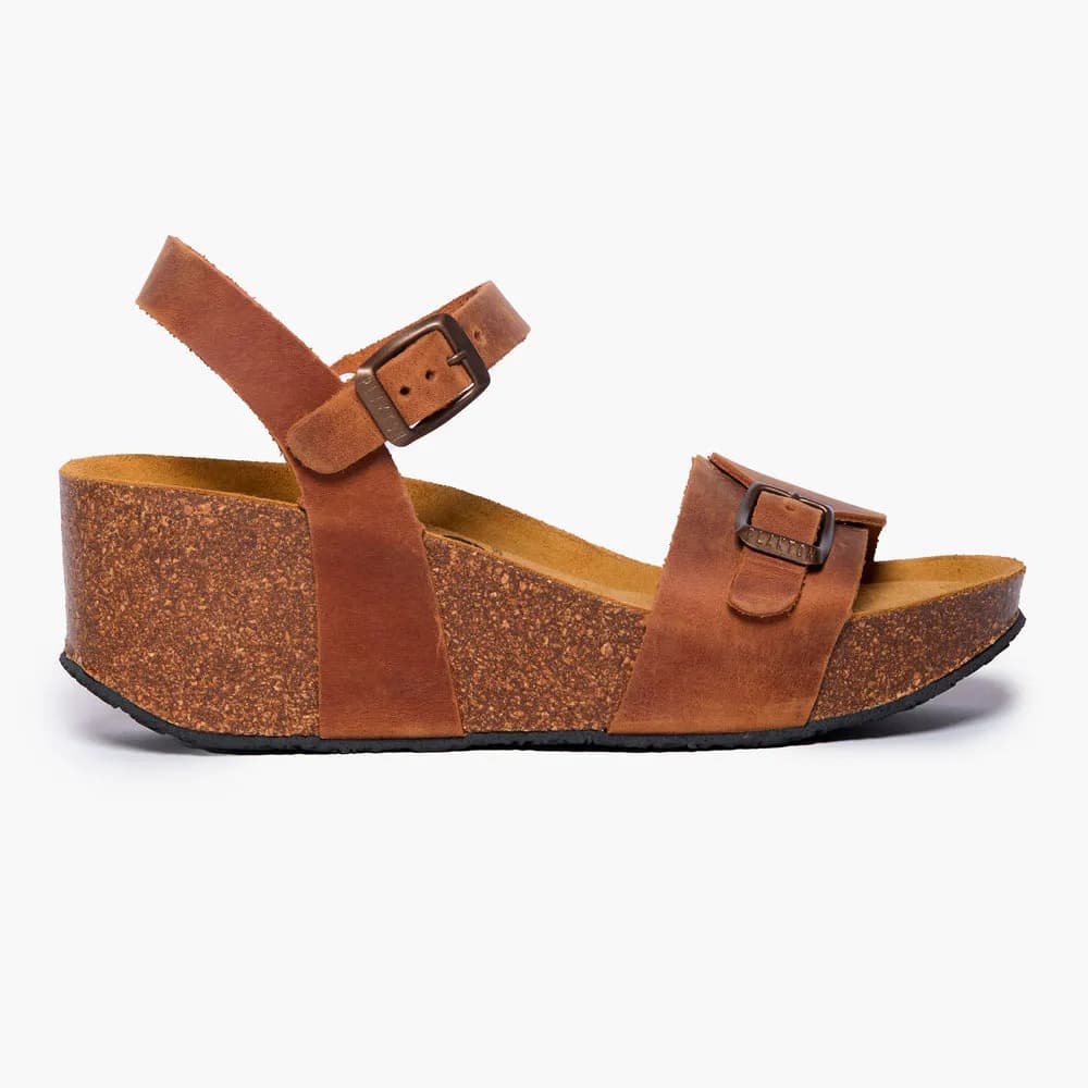 Plakton, from the current collection