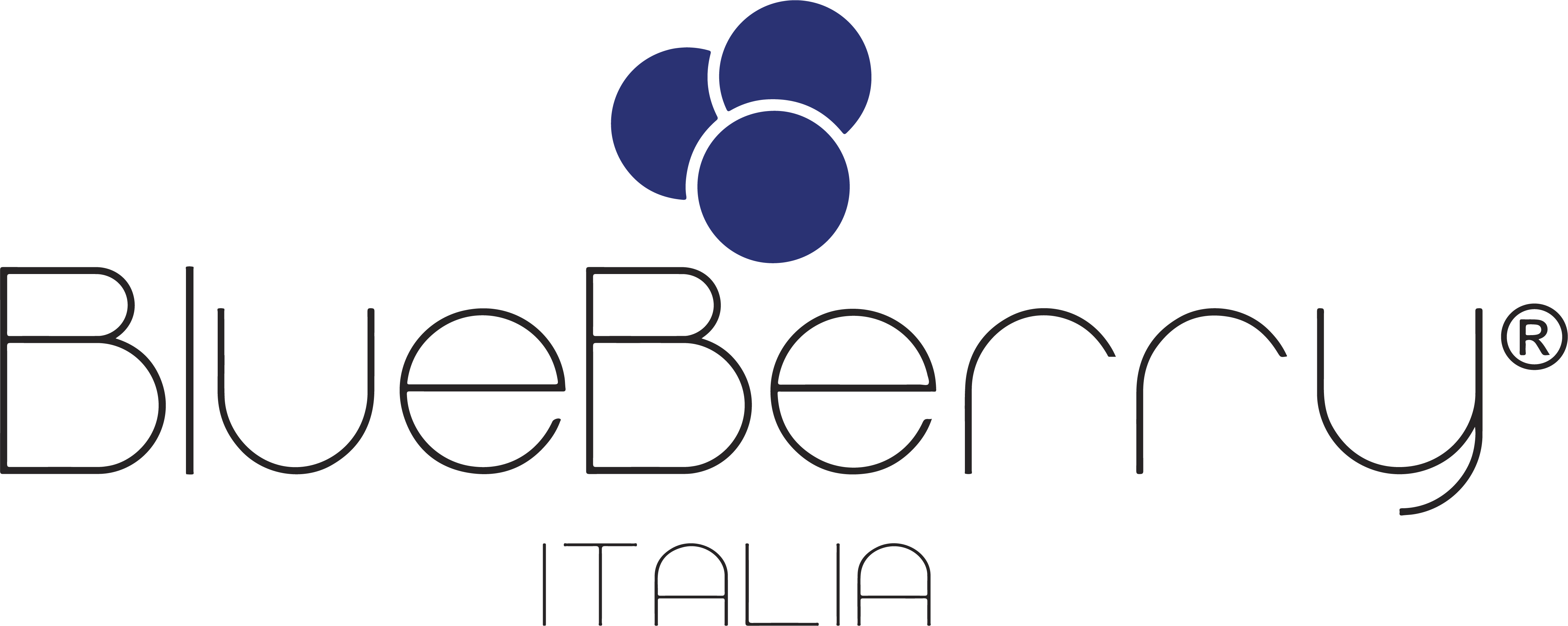 Blueberry Italia logo