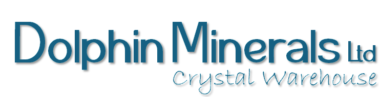 Dolphin Minerals logo